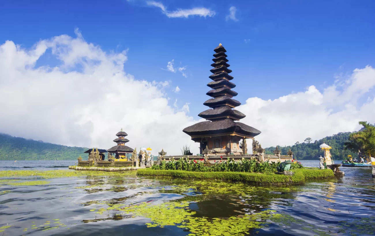 wanagiri hidden hills Bali tourist place