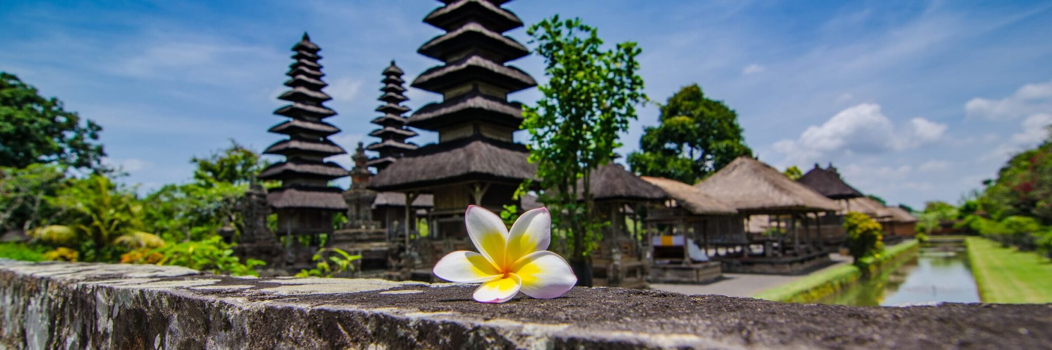 Von Bali-Touren bis zur Bratpfannen-Vorbereitung durch Reisezeit Bali und Bratpfannen